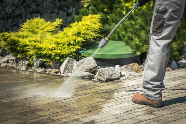 Best Fence Cleaning  in Ellenville, NY