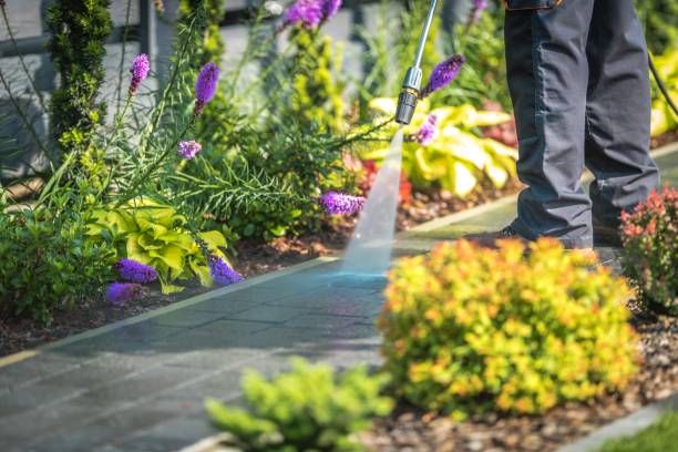 Best Soft Washing  in Ellenville, NY