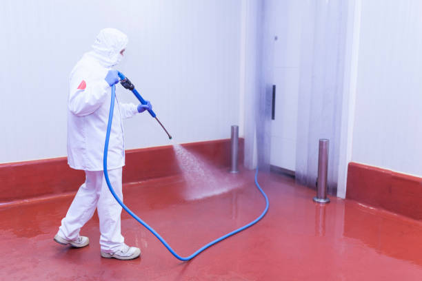 Best Paint Preparation  in Ellenville, NY